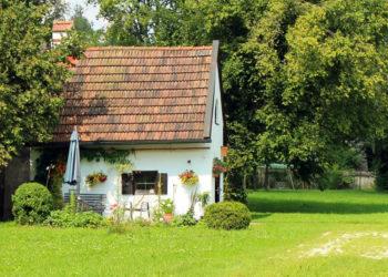 Medžiai ir krūmai: kas leidžiama savame sklype?