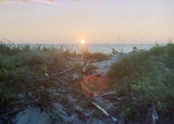 3 išmanūs būdai pažinti Lietuvą | Pexels nuotr.