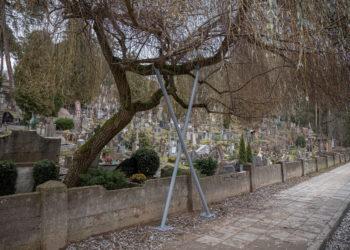 Medžiais sostinėje rūpinsis ir statybininkai