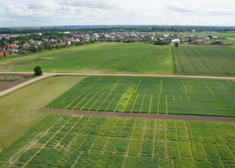 Žemės ūkis