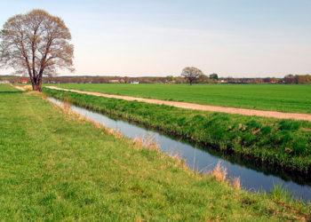 Sėja prie melioracijos griovių nebus ribojama
