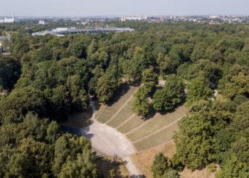 Dainų slėnis Kaune ruošiasi pokyčiams