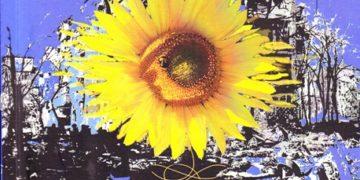 Išleistas Almanachas, skirtas Ukrainai | mokslolietuva.lt nuotr.