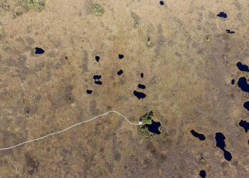 Kviečiama susipažinti su Šilutės pelkėmis