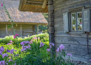 Amatininkai laukia Kleboniškių buities muziejuje | L. Prascevičiūtės nuotr.