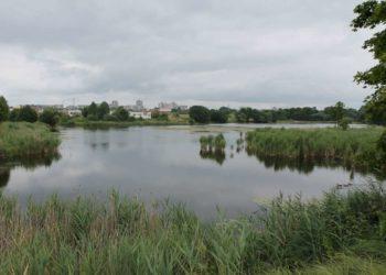 Sudervės patvanka. Justiniškės | L. Giedraičio nuotr.