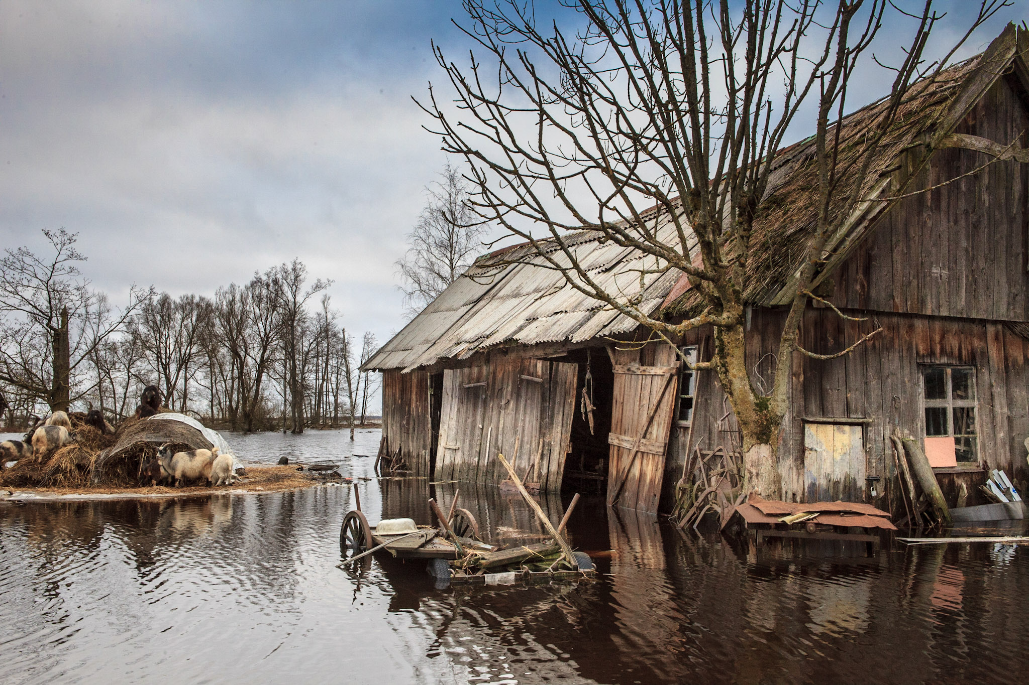 Žalgirių kaimas pavasario potvynio metu | Baltijos aplinkos forumo nuotr.
