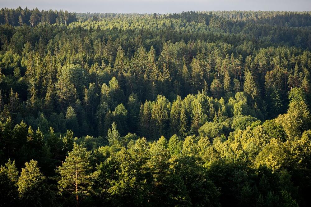 Žadama įsteigti Suvalkijos nacionalinį parką | lrt.lt nuotr.