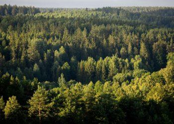 Žadama įsteigti Suvalkijos nacionalinį parką | lrt.lt nuotr.