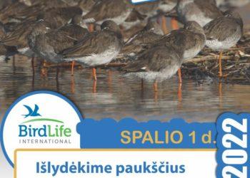 Gamtos žinovai kviečia išlydėti paukščius | birdlife.lt nuotr.