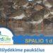 Gamtos žinovai kviečia išlydėti paukščius | birdlife.lt nuotr.