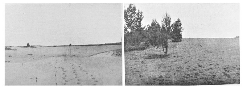 1939 m. Marijono Daujoto darytos Merkinės valsčiaus smėlynų nuotraukos | „Mūsų girios“ nuotr.