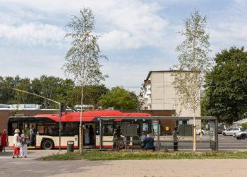Transporto stotelėse – daugiau žalumos