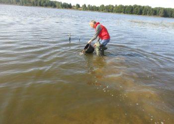 Lynai paleidžiami į vandens telkinius | lzt.lrv.lt nuotr.
