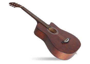 Akustinė gitara | varle.lt nuotr.