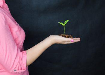 Daigas | pixabay.com, Tumisu nuotr.