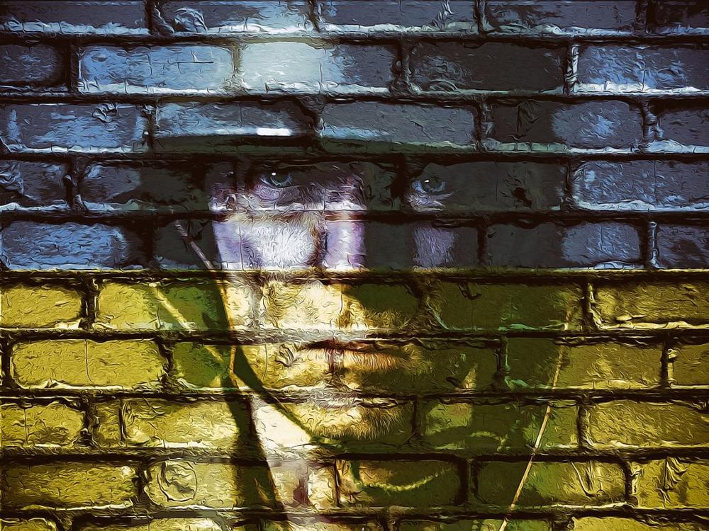 Pixabay.com, S. Viliamso nuotr.