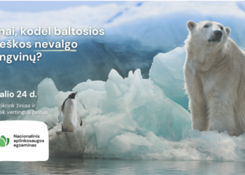 Nacionalinis aplinkosaugos egzaminas | am.lrv.lt nuotr.