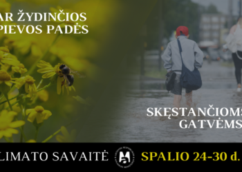 Klimato savaitė | am,lrv.lt nuotr.