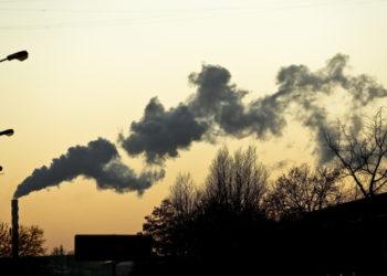 Tarša | am.lrv.lt nuotr.