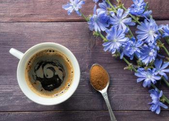 Įdomybės apie cikoriją | iStock nuotr.