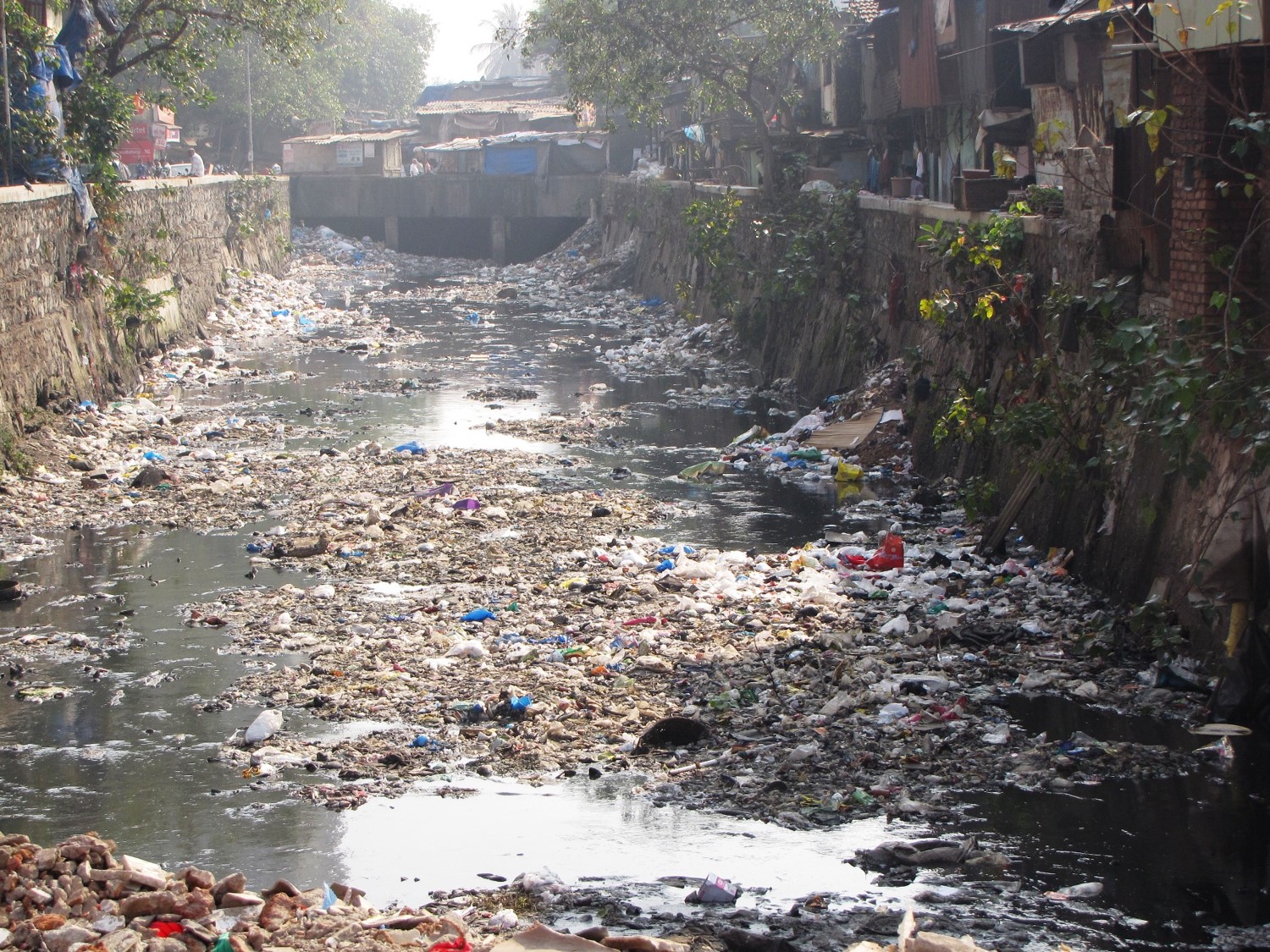 Indijos upės miestuose tampa atliekų transportavimo kanalais. Mumbajus | VDU ŽŪA nuotr.