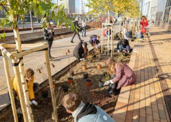 Medžių sodinimo talka | vilnius.lt nuotr.
