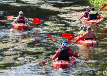 Baidarės | am.lrv.lt nuotr.