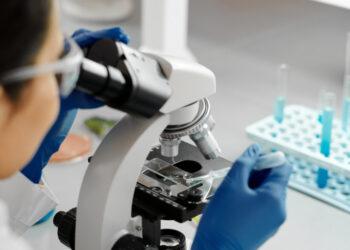 Patvirtinta nauja Lietuvos mokslo tarybos valdyba | Pexels nuotr.