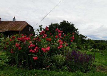Garsios tylos observatorija | Etninės kultūros globos tarybos nuotr.