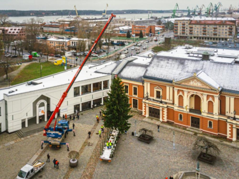 Klaipėdos eglė | Domo Rimeiko nuotr.