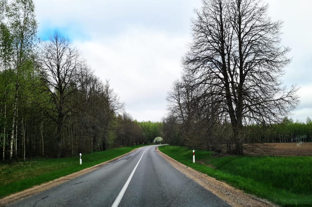 Kelias | alkas.lt Arūno Sartanavičiaus nuot.