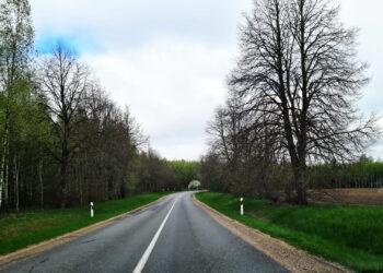 Kelias | alkas.lt Arūno Sartanavičiaus nuot.