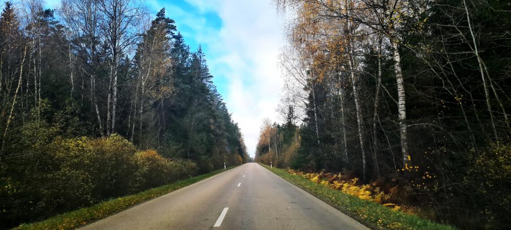 Kelias | alkas.lt Arūno Sartanavičiaus nuot.