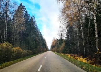 Kelias | alkas.lt Arūno Sartanavičiaus nuot.