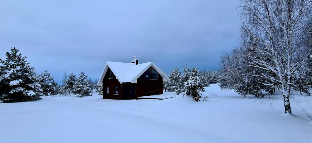 Žiema | alkas.lt Arūno Sartanavičiaus nuot.