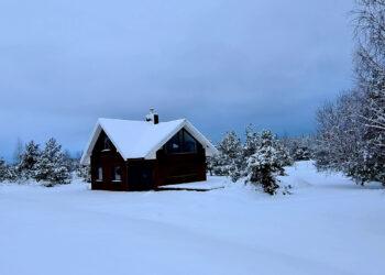 Žiema | alkas.lt Arūno Sartanavičiaus nuot.