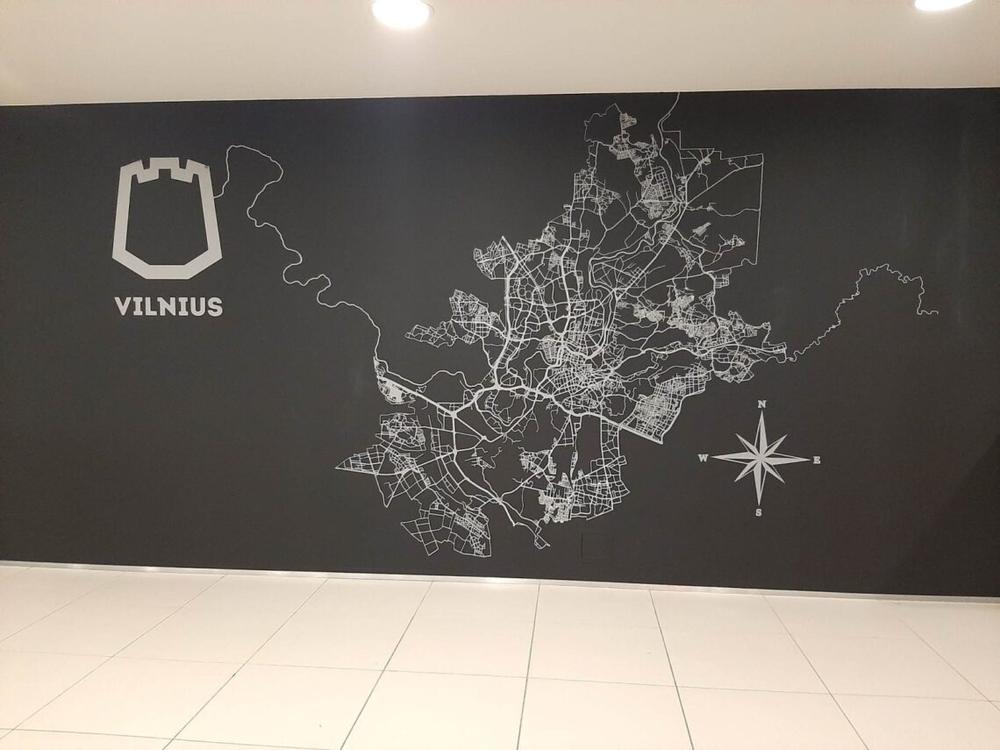 Vilniaus garvių dangos tyrimas | vilnius.lt nuotr.