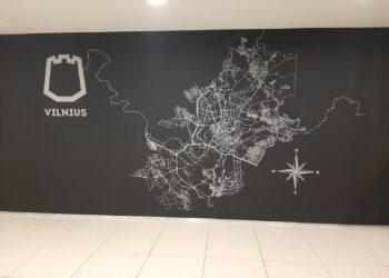 Vilniaus garvių dangos tyrimas | vilnius.lt nuotr.
