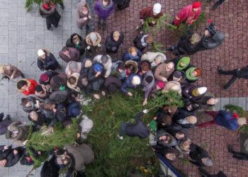 Eglišakių dalijimas | am.lrv.lt nuotr.