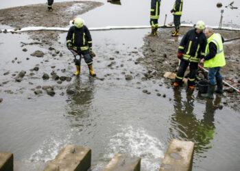 Žala aplinkai | am.lrv.lt nuotr.