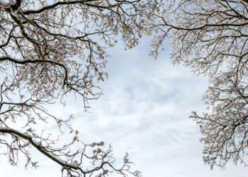 Svarbiausi pokyčiai aplinkosaugos srityje: kas keisis nuo Naujųjų | lrv.lt nuotr.