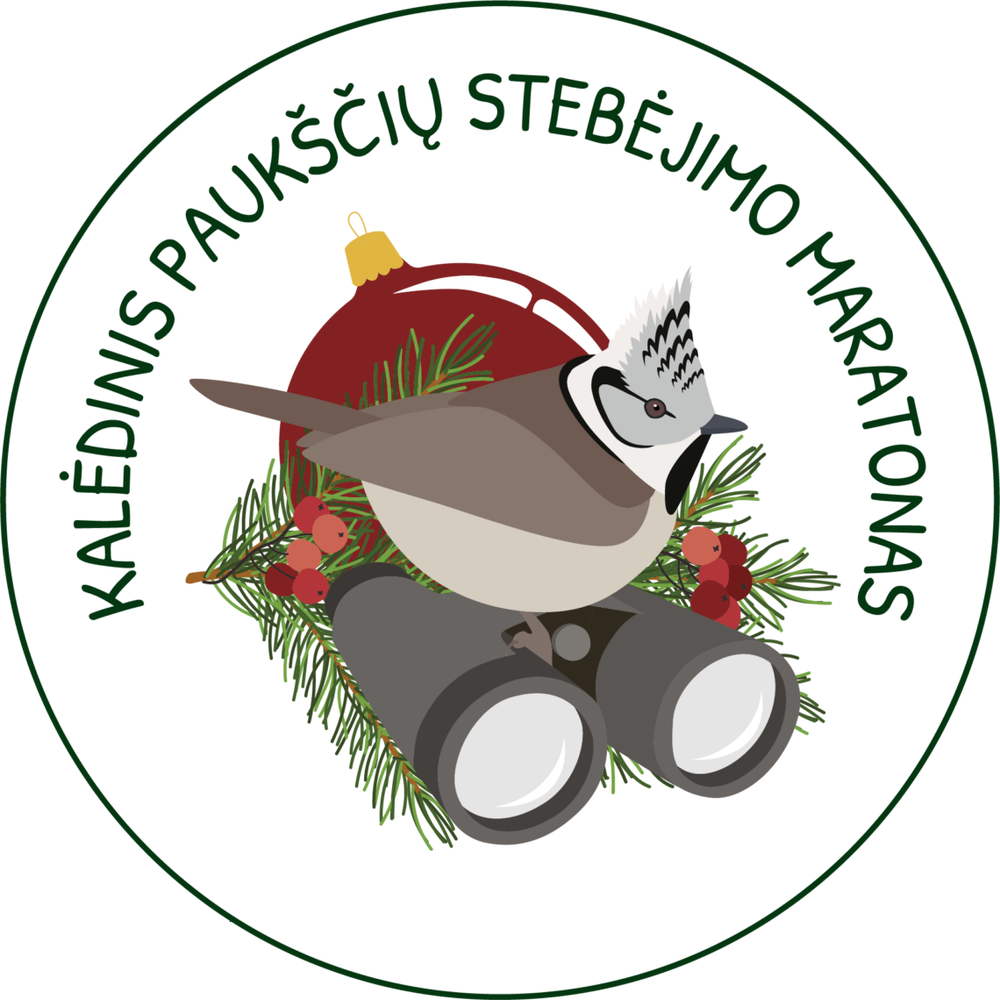 Kviečia kalėdinis paukščių stebėjimo maratonas