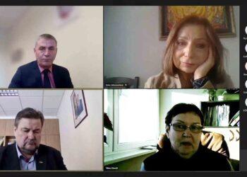 Bendrame Seimo laikinųjų Pilietinio dalyvavimo ir bendruomeniškumo skatinimo ir Etno bičiulių grupių posėdyje | Alkas.lt ekrano nuotr.