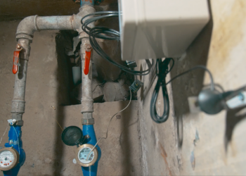 Vandens skatikliai | vv.lt nuotr.