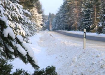 Kelias | sumin.lrv.lt nuotr.