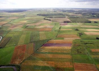 Žemėtvarka | am.lrv.lt nuotr.