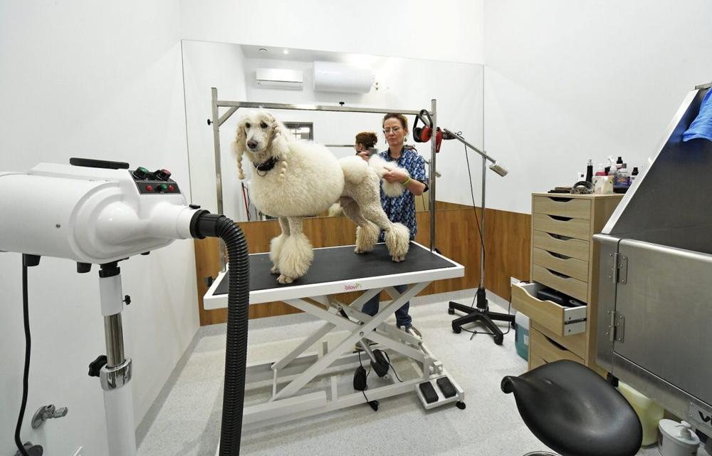 Gyvūnų ligoninė | protovetra.lt nuotr.