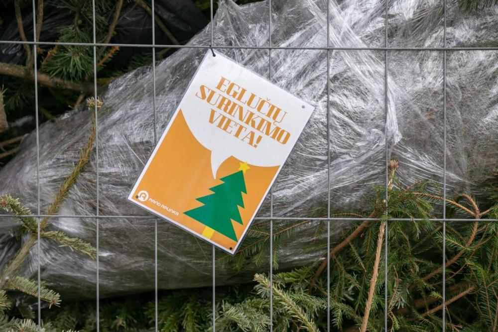 Eglučių surinkimo vieta | vilnius.lt nuotr.