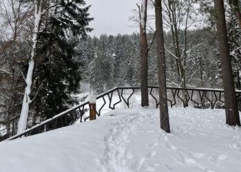 Vetygalos atodanga | vstt.lt nuotr.